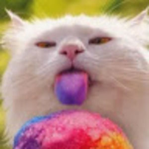 Meet your Posher, Nia